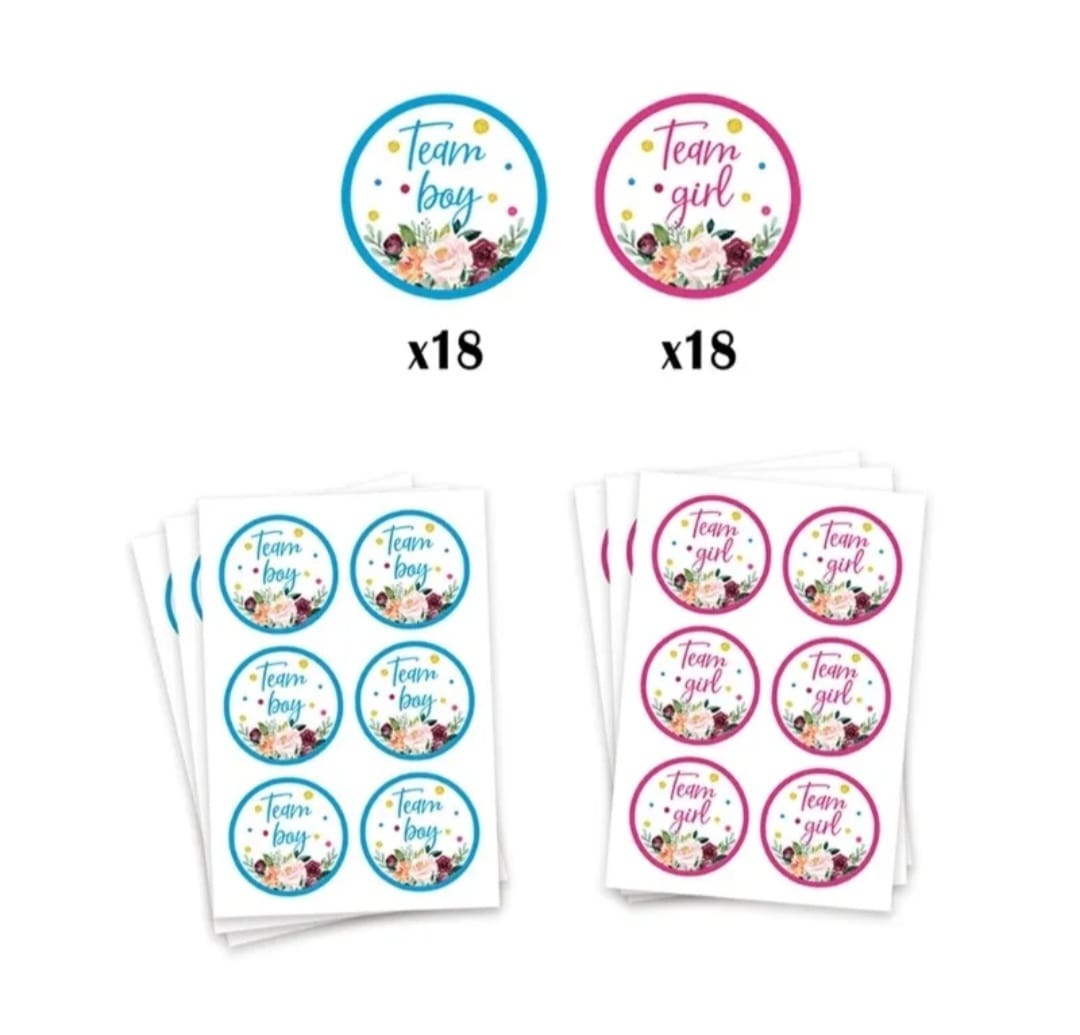 'Cast Your Vote' Gender Reveal Poster Baby Shower Party Decor Team Boy Girl - Gender Reveal Cannon