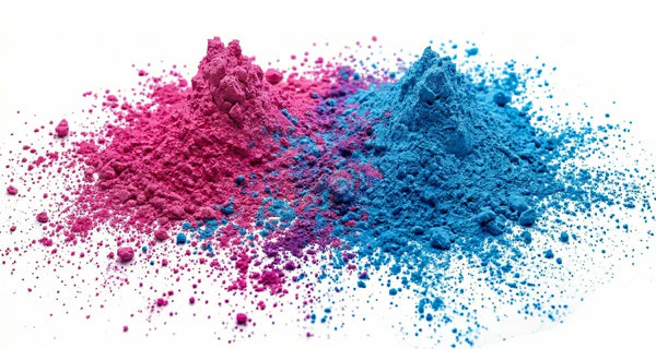 The Colour Shower | Gender Reveal Holi Powder 500g AU — Gender Reveal Cannon Australia